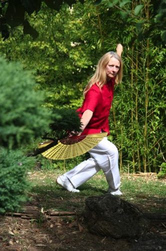 Image selected from the Lotus Energy galleries